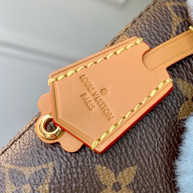 LV Satchel bags